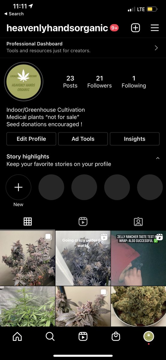 ytTamayoGaming's tweet photo. First indoor grow went pretty well, follow the Instagram to keep up with my cultivation and a couple giveaways https://t.co/OOk1FBFdY6
