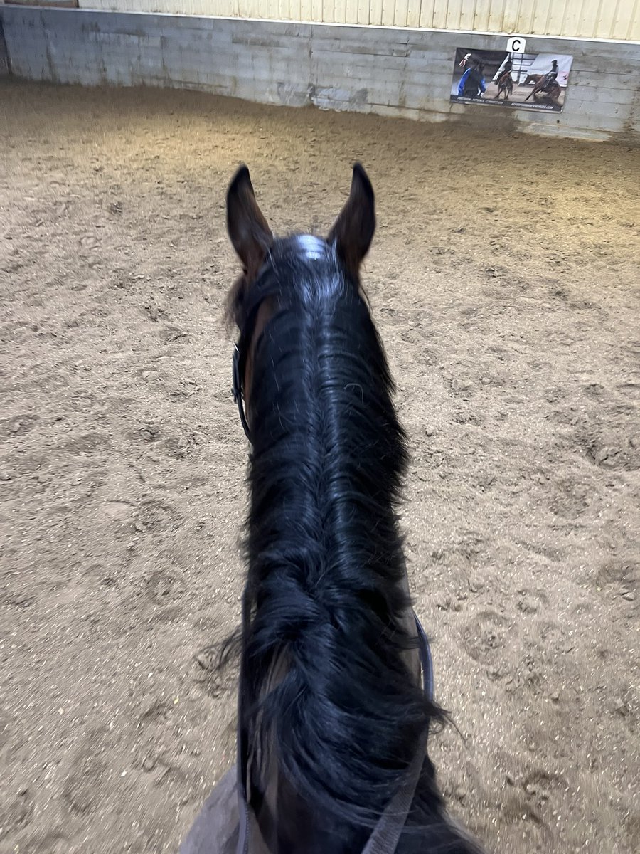 racehorsegurl's tweet image. Dr.  Told me I could start riding in February. It’s close enough right?? #couldntwait #happyplace good way to keep calm before the game tomorrow.