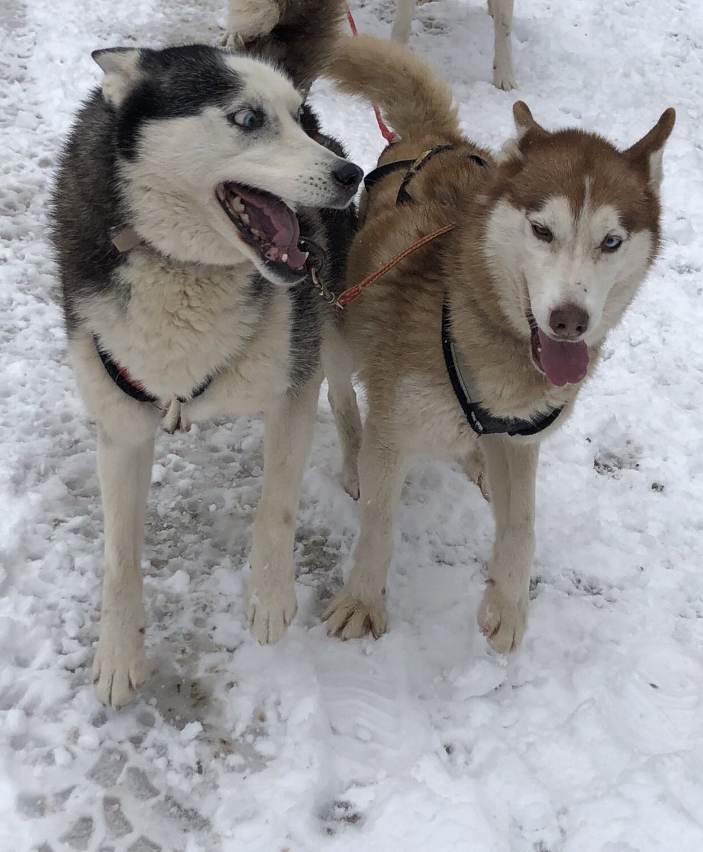 Richie Camden tweet media