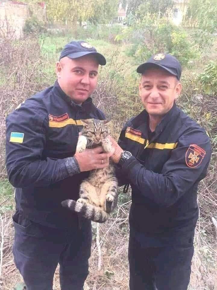 The liquid is trapped.