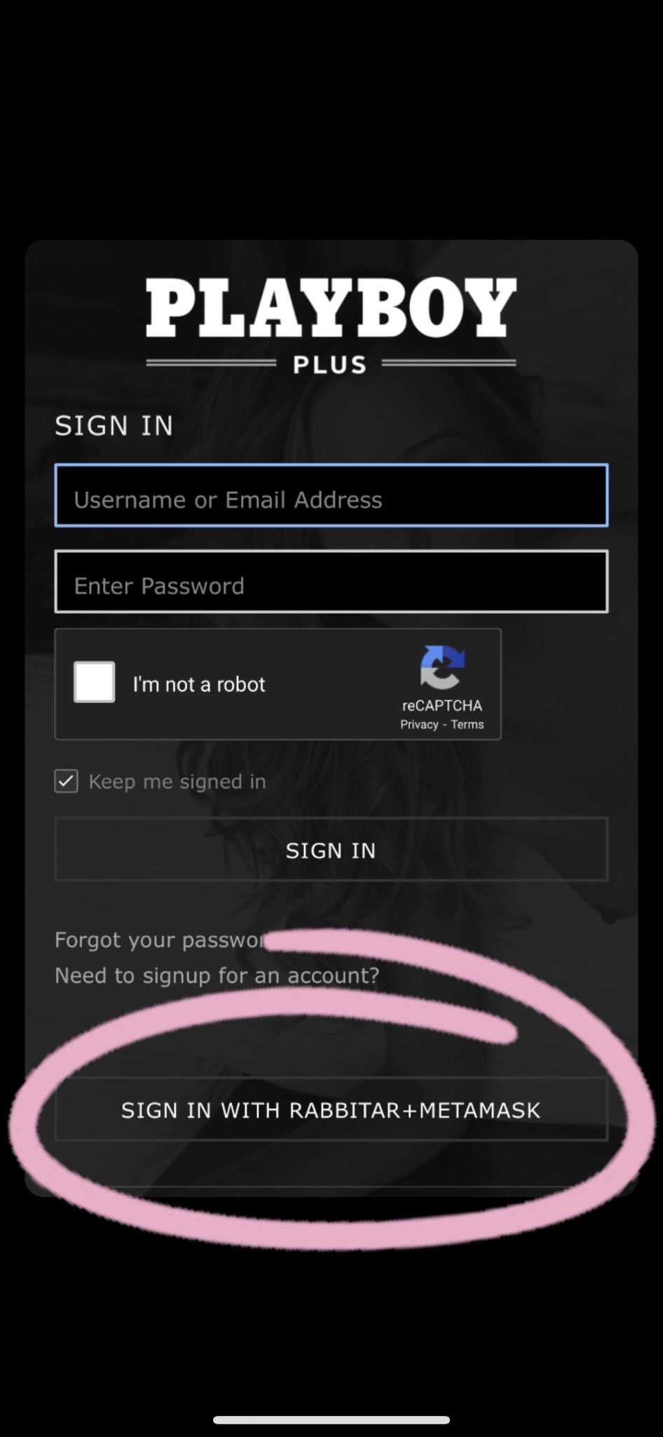 Playboy login password