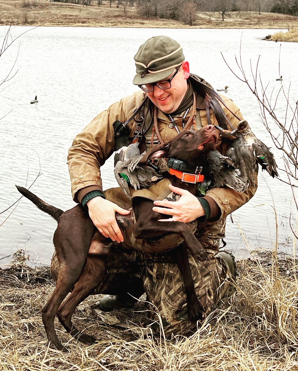 lokosh_saya's tweet image. #pudelpointers are equal parts #huntingmachine and #clown. My buddy Tweedy is named after @JeffTweedy, who is neither hunting machine nor clown but #rocknrollgod. #pudelpointersofinstagram #pudelpointer #versatilehuntingdog #navhda #hunthunthunt #hunttherez #chikashsharez