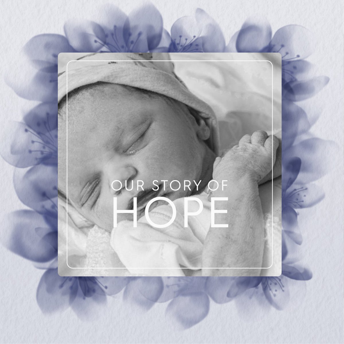 Held In Our Hearts tweet media