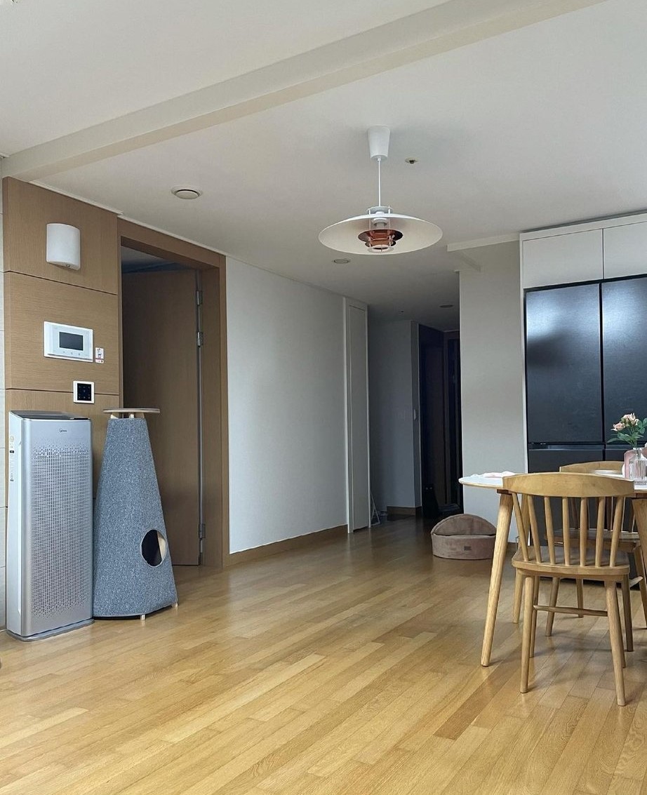 There is no cat in this image (@thereisnocat_) on Twitter photo 