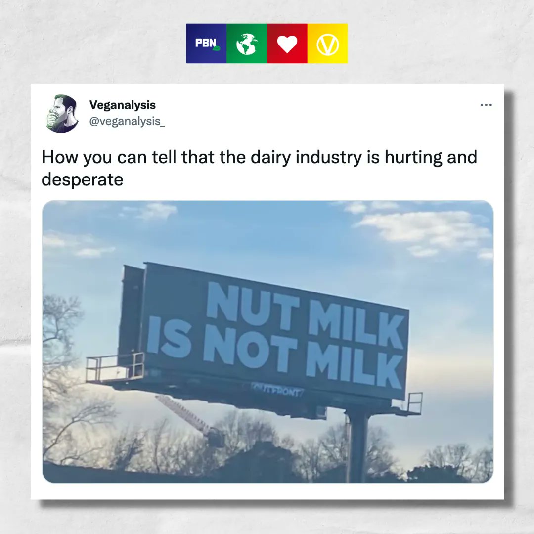 Plant Based News tweet media