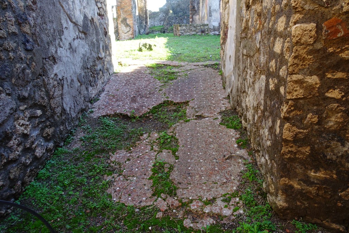 mariajosanchis's tweet photo. Visitar les excavacions de Pompeia i Ercolano i anar-se-te'n els ulls a les plantetes que colonitzen les ruïnes.
@pompeii_sites 
#Ercolanoscavi
#Pompeiiscavi
#Campania https://t.co/MWTVIELV6Q