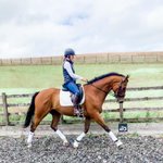 Photo by KA Equestrian (@KAEquestrian)