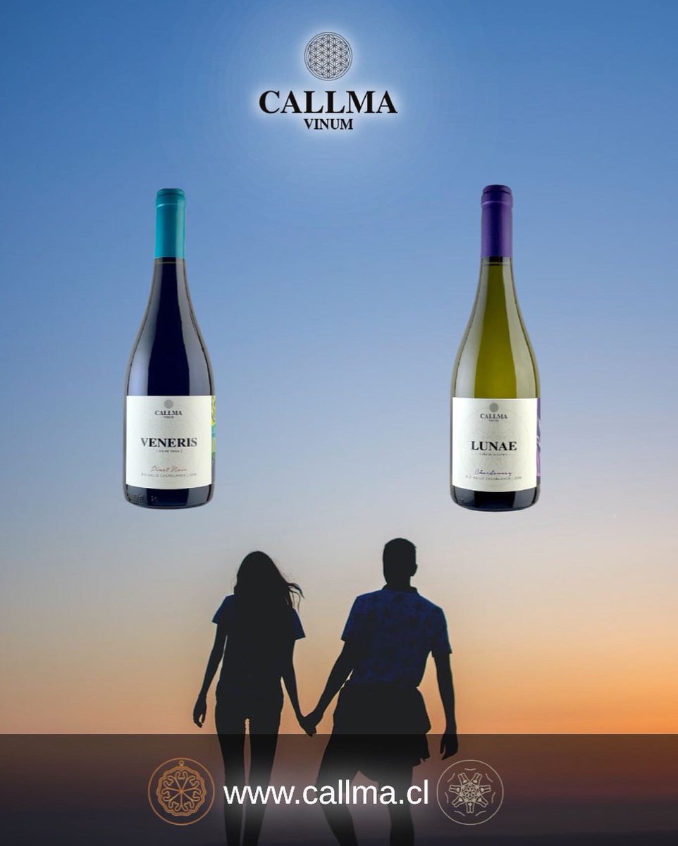 CallmaVinum's tweet photo. https://t.co/8VESDIfP7n #chileanwine #vinosconpersonalidad #viñaterosindependientes #vino #pequeñasproducciones #winelover #callmavinum #wineofchile #movichile_br #MOVILaTienda #lacavadelsommelier #bacovinobistro #movichile #restaurantedoncarlos #wine_promotion_ https://t.co/utz8UoX1Zq