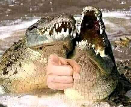 Nathan Ferrer 🤡🤡 (@nathanferrer20) on Twitter photo 