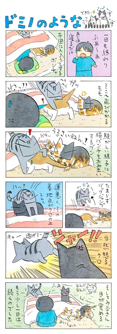 「次々」
この後、運動会が始まったり、
おやつをねだられたり、撫でて!と催促されたり…
一日の終わりを決める権限は猫様のもの。
(久保智昭さんの「猫色スケッチブック」)つづきはこちら⇒https://t.co/e0GRwO73F4 