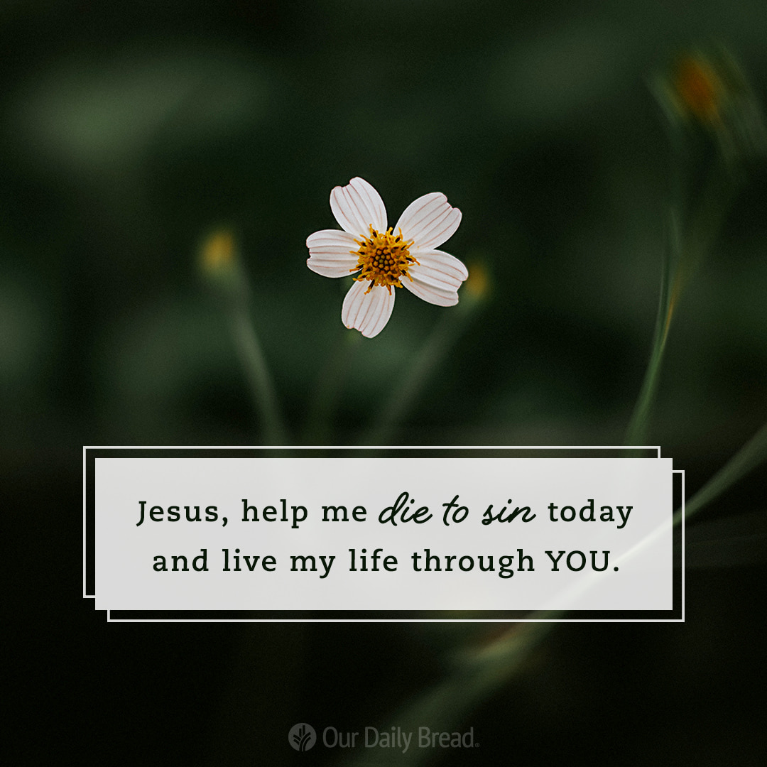 ourdailybread's tweet photo. #OurDailyBread https://t.co/zK2tdtp63X