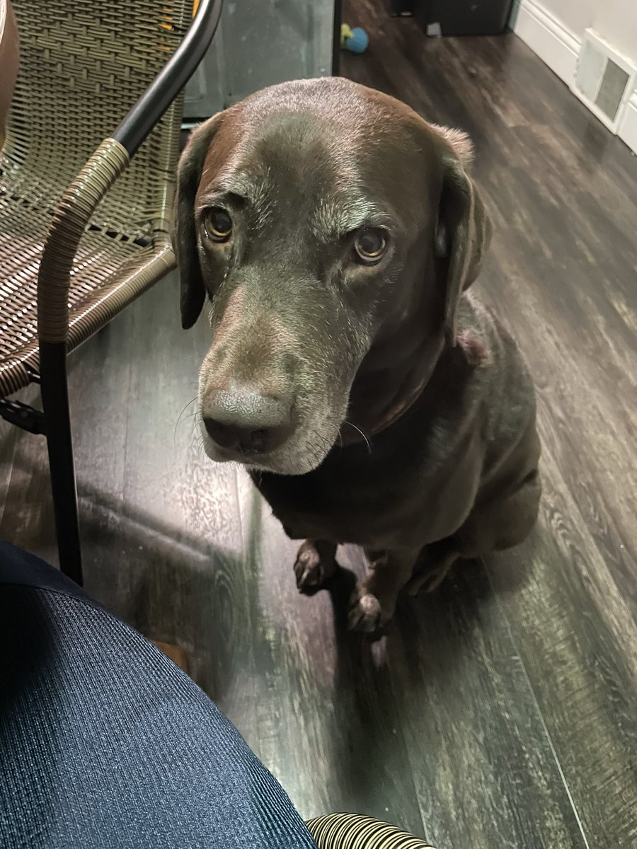 Henry & Maverick tweet media