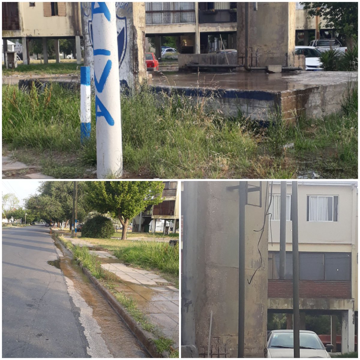 angelesmdf's tweet photo. Mientras algunos barrios reciben bidones de los bomberos o defensa Civil, en Peña y Méjico el agua fluye como un río para terminar en una boca de tormenta. https://t.co/NvnvW8x30z
