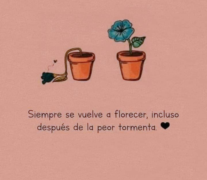 Siempre🌸