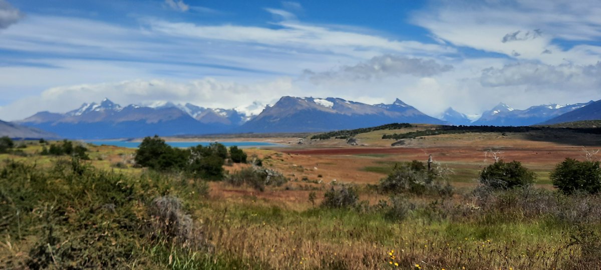 AleGarzonOk's tweet photo. #ElCalafate camino al Caping #LagoRoca
Varios kilómetros recorrimos desde la Ciudad hasta el Caping. El paisaje es impresionante, combina el verde, la nieve, cerros, río y el lago !!
#SantaCruzMiProvincia https://t.co/B4wOEEUkzn