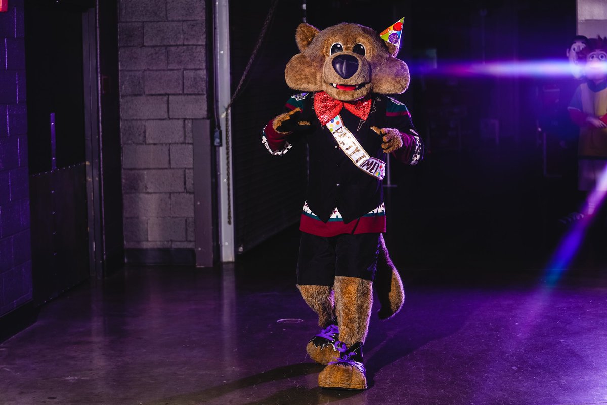 ArizonaCoyotes's tweet photo. The party has arrived! 🥳 https://t.co/659AcE3tuJ
