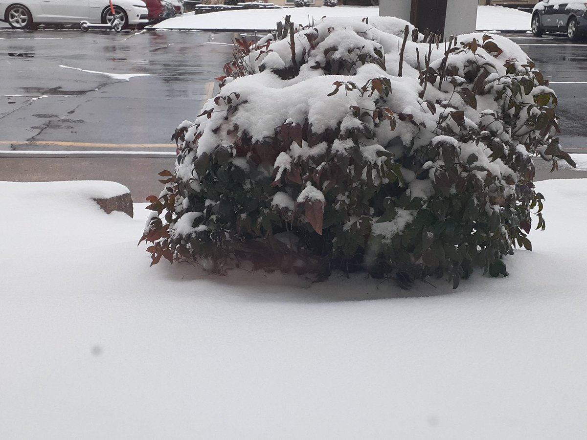 wordsmith9's tweet photo. We have snow! It is on cars, plants, balconies, and roofs. So far, it isn't accumulating in the parking lot, etc. But we expect a few more hours of light snow. Who knows?
#winter2022 #snow #SaturdayAfternoon https://t.co/jOwDp0jsE0
