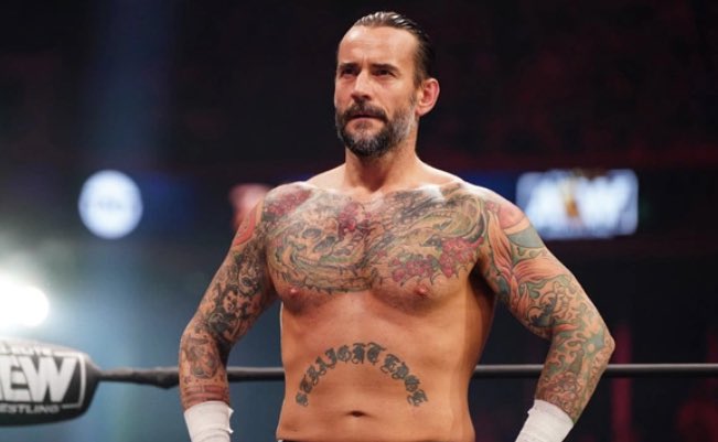 Beardedbackbump's tweet photo. I wonder if @CMPunk loved his chest hair so much he decided to get the chest tattoo 🤷‍♂️ 🤣 🐐 #CMPunk https://t.co/sh8e1q8qHU