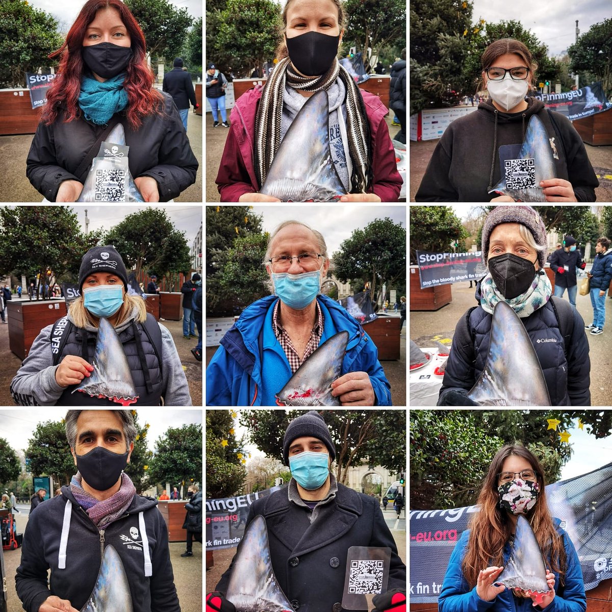 We're almost there! #Ireland needs only 1,933 votes to reach its #EU #Vote threshold to STOP the TRADE of #shark fins by an EU legislation.
Step 1:
Visit stop-finning-eu.org
Step 2:
Fill out your details, register your vote and SHARE!
#StopFinningEU #extinction #nature