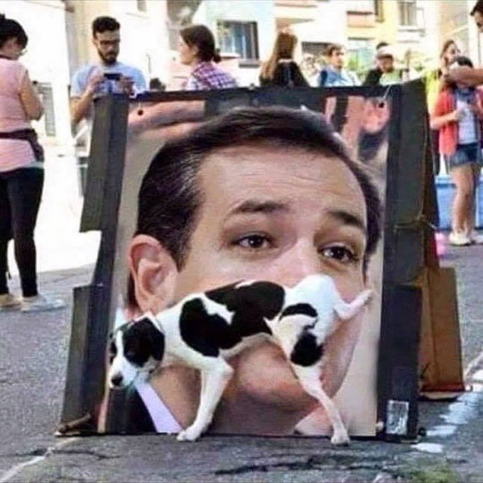 BACK2STONEWALL's tweet photo. #BestPicture No words needed. #Texas https://t.co/ZCevDRTFSN
