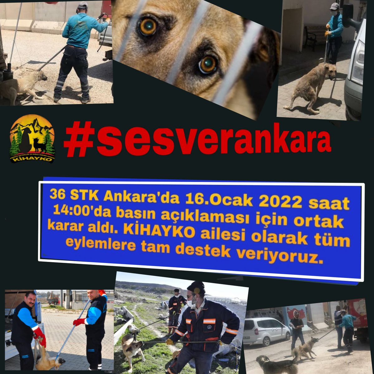 kihayko's tweet photo. #SesVerAnkara https://t.co/OUAXr6dUMY