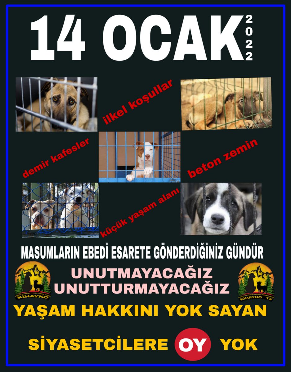 kihayko's tweet photo. #sesverankara https://t.co/Yi43RPvPNz