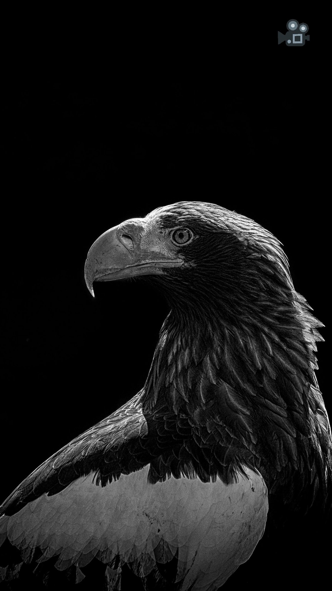 Photos For Wallpaper / Download Wallpapers Mobile Wallpapers - They’re easy to use and easy to access online, eliminating th.