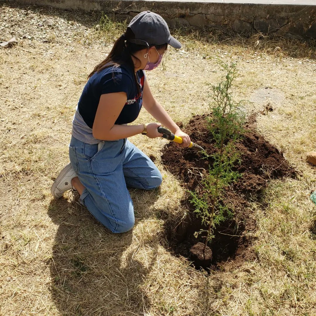 Tonaltechmx's tweet photo. RACERS!! Les compartimos unas fotos que tomamos el día martes realizando la dinámica de por cada 10 seguidores un árbol, gracias por ayudarnos a dejar nuestra huella en el medio ambiente!!
🌲🌍
#todossomostonaltech #tonaltech #medioambiente https://t.co/MnPzWSUSMs