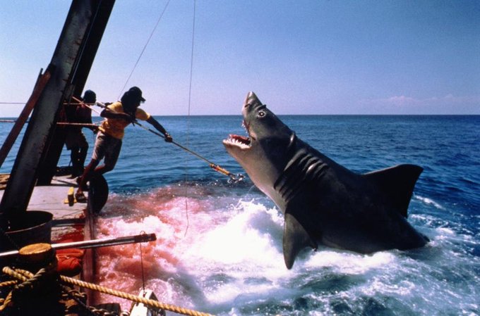 Happy birthday Mario Van Peebles! Watching 1987\s JAWS: THE REVENGE to celebrate. 