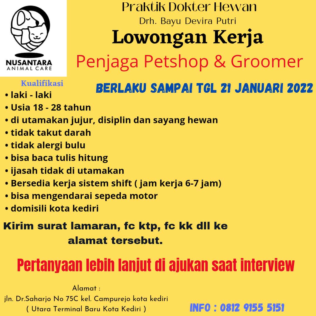 Permisi gais ini loha ada loker daerah kediri siapa tau ada yang membutuhkan @infokediri @KediriFess @aslikediri @KediriManeh minta tolong di Up yah kaka admin, thanks