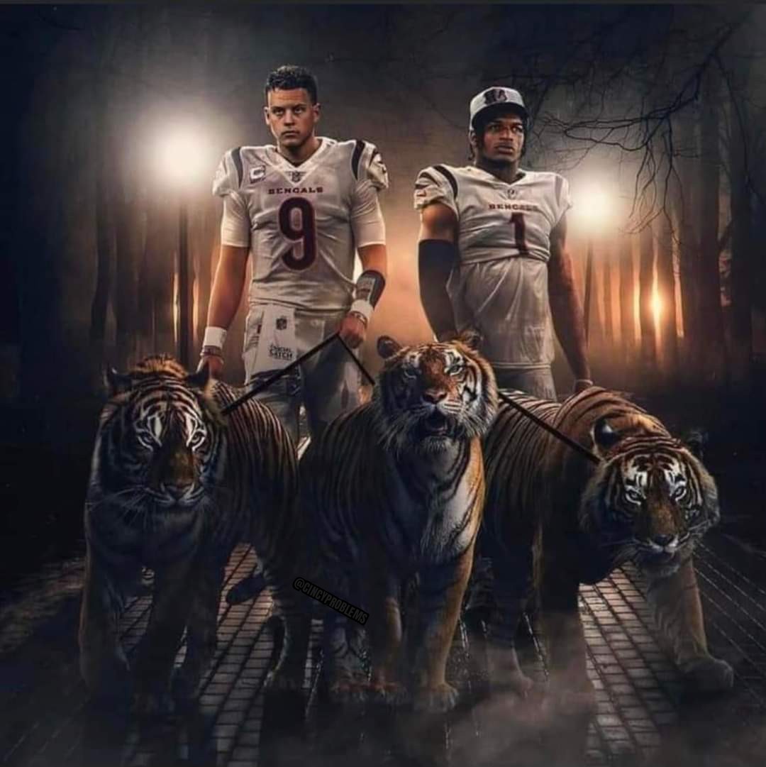 Cincinnati 💔 on Twitter: "IT'S TIME TO WIN A PLAYOFF GAME. 🗣️ GOOOOO  BENGALS. #WHODEY https://t.co/UEEFc6CDZh" / Twitter