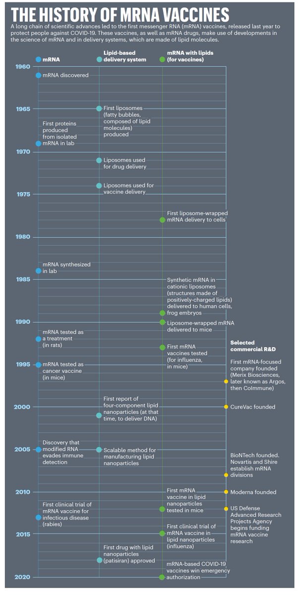 Here's a great timeline for how the mRNA Covid vaccines ultimately got developed @ElieDolgin @nature nature.com/articles/d4158…