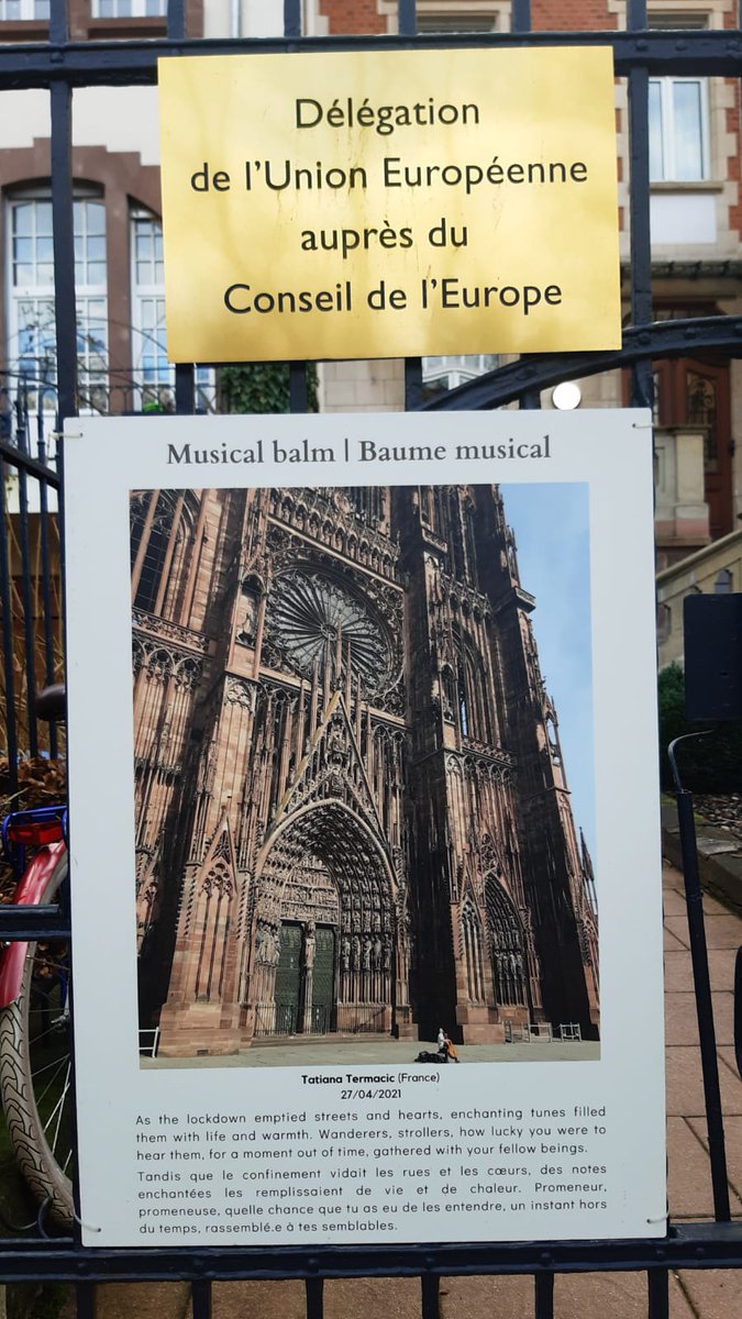TatianaTer1's tweet photo. Le choc. #BriceBauer n'est plus. La Cathédrale de @strasbourg ne sera plus jamais la même sans le son envoûtant de son violoncelle. Mon souvenir du premier confinement restera à jamais attaché à lui. @EUDELCoE @NSCentre @COECongress https://t.co/1GxzNDk9K2