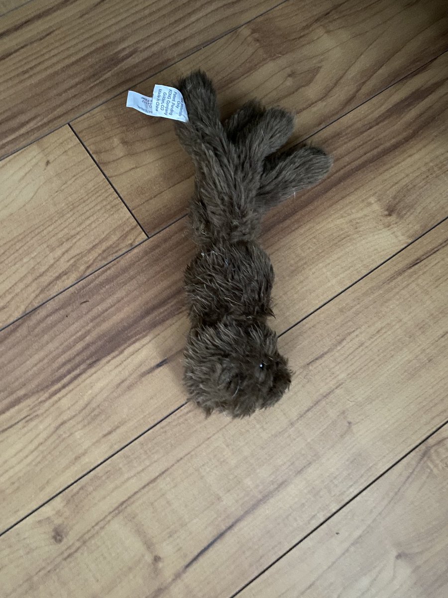 DaisyMaeJack's tweet image. I’m soooo bored. Mum got me dis sniffer mat. She hid treatos in it. Took me like 2 minutes to find em all. Been playing with my new fren. He looks like a bear octopus. What should I call him? #winterwoes #boreddog #cantplayenough #dogsoftwitter #dogs