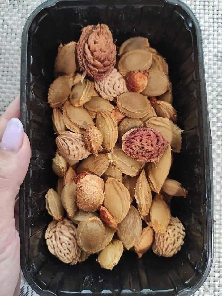 Necesitamos árboles. 
Cuando coma frutas no tire las semillas.Lávelas y séquelas.Póngalas en una caja y déjelas en el coche. Cuando estés en el camino, tíralas por la ventana en lugares donde no haya árboles. La naturaleza se encargará de ellas.