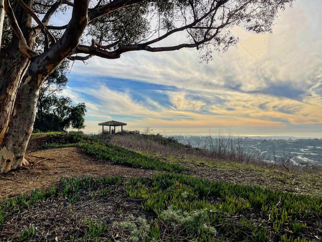 discoverLA's tweet photo. All the Saturday feels, hiking at Kenneth Hahn.
🌦️❤️

📷: @kylojenhikes
#discoverla #weekendvibes https://t.co/g5Jcgpcisi