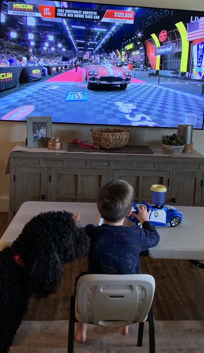 crystal92003's tweet photo. When given the choice of watching Blues Clues or @mecum Auctions, he chose “the cool cars”. We’ve been watching for hours now. He’s 4! 😂 Making his papa proud. #Mecum #MecumKissimmee @MotorTrendTV https://t.co/Vc2r28gZWT
