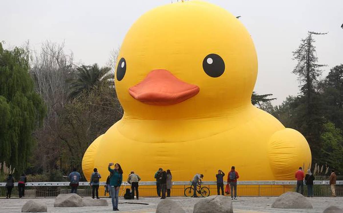 tinyseok_'s tweet photo. Sigo pensando que esta pato ctm es el responsable de todas nuestras desgracias como país #Tsunami https://t.co/wJqqcXeDkI