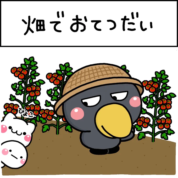 畑でおてつだい 
