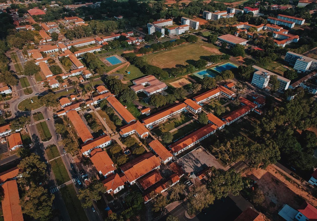 Daniel kons tweet media