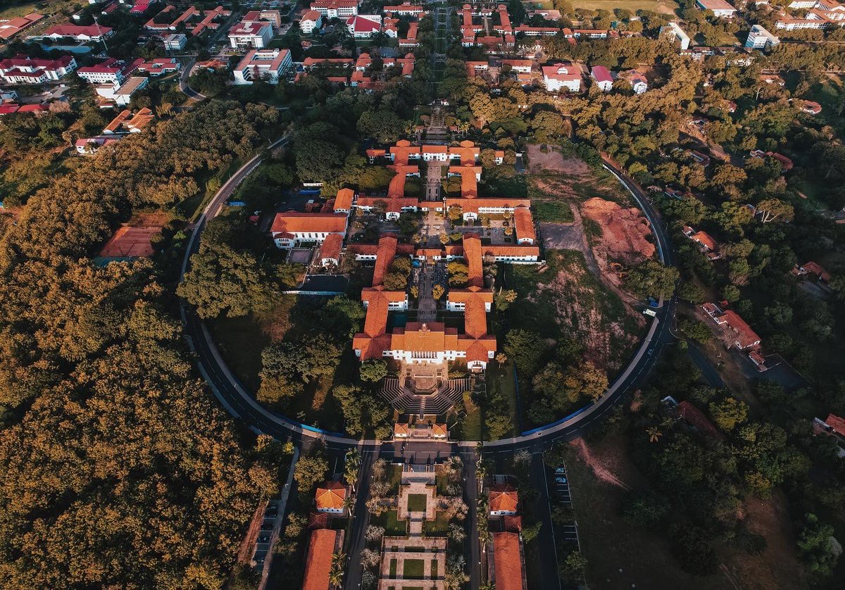 Daniel kons tweet media