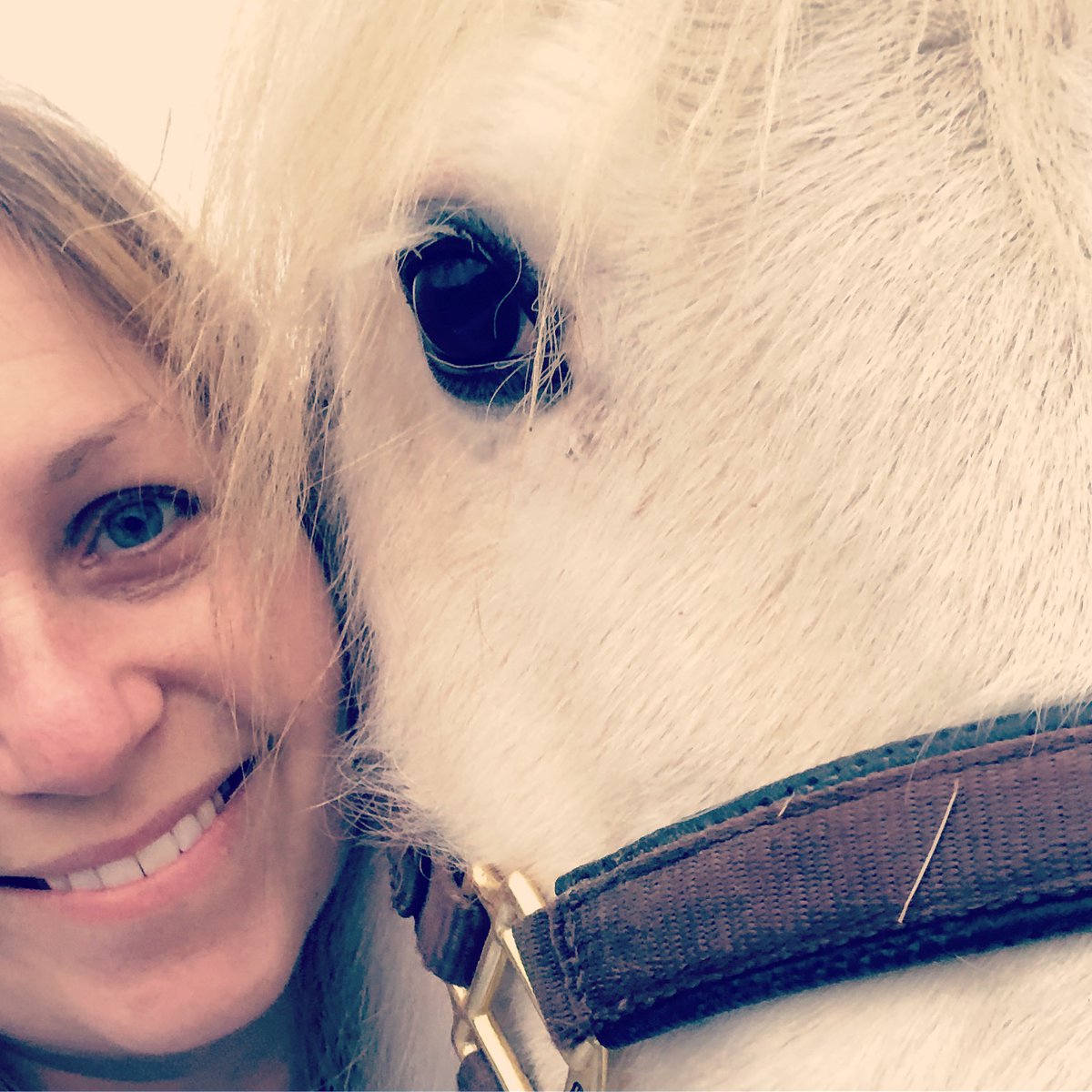 BullivantAP's tweet photo. My beautiful boy 🐴 https://t.co/8P7YsFBBnU