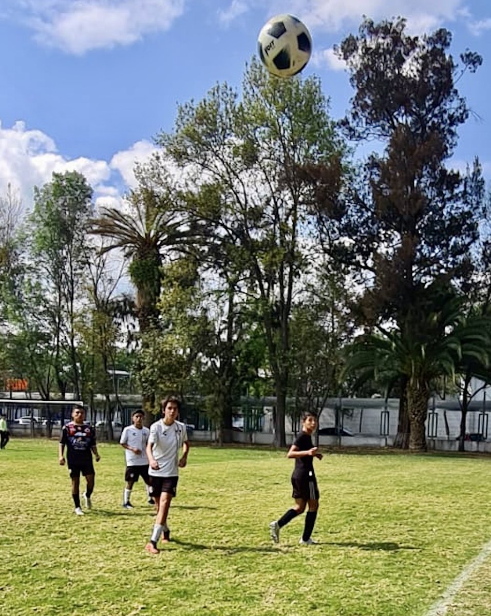 futsat's tweet photo. #Semillero #Futsat
#LMFB
🦊 vs 🦗Alebrijes https://t.co/taFP5gresS