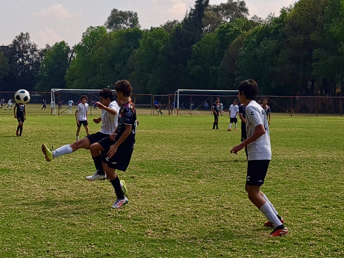 futsat's tweet photo. #Semillero #Futsat
#LMFB
🦊 vs 🦗Alebrijes https://t.co/taFP5gresS