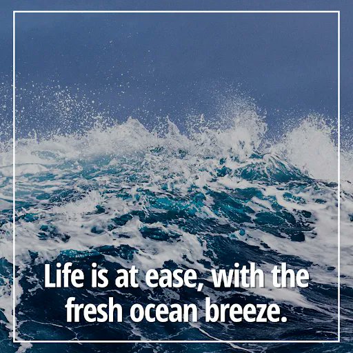 Sea breeze smell so good that feels relaxed. The iodine, salt, and magnesium present in sea air can promote respiratory health and stimulate the immune system.

So, each of us plays a big part in saving our beaches and keeping the oceans clean.