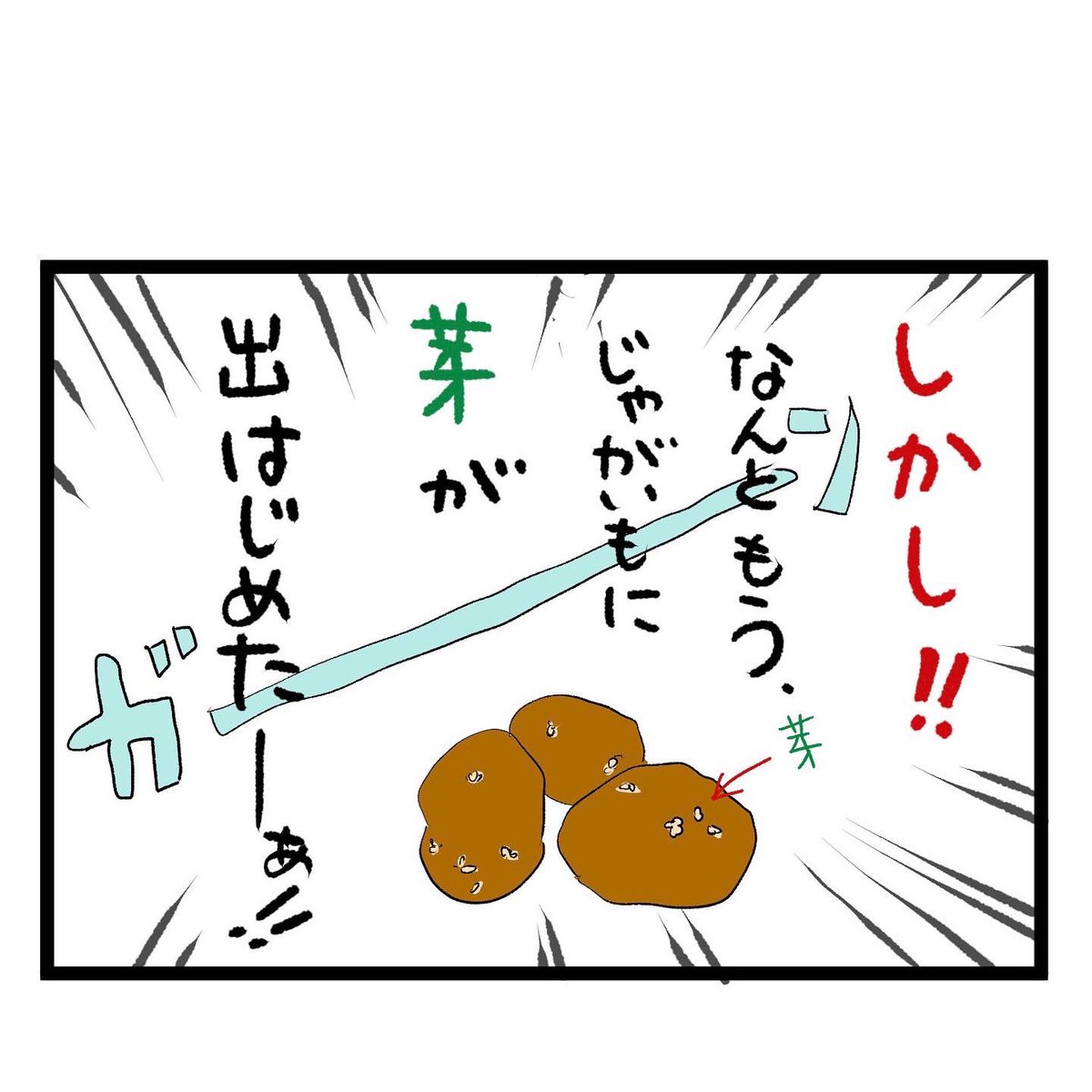 #四コマ漫画
#箱買い
じゃがいもの芽 