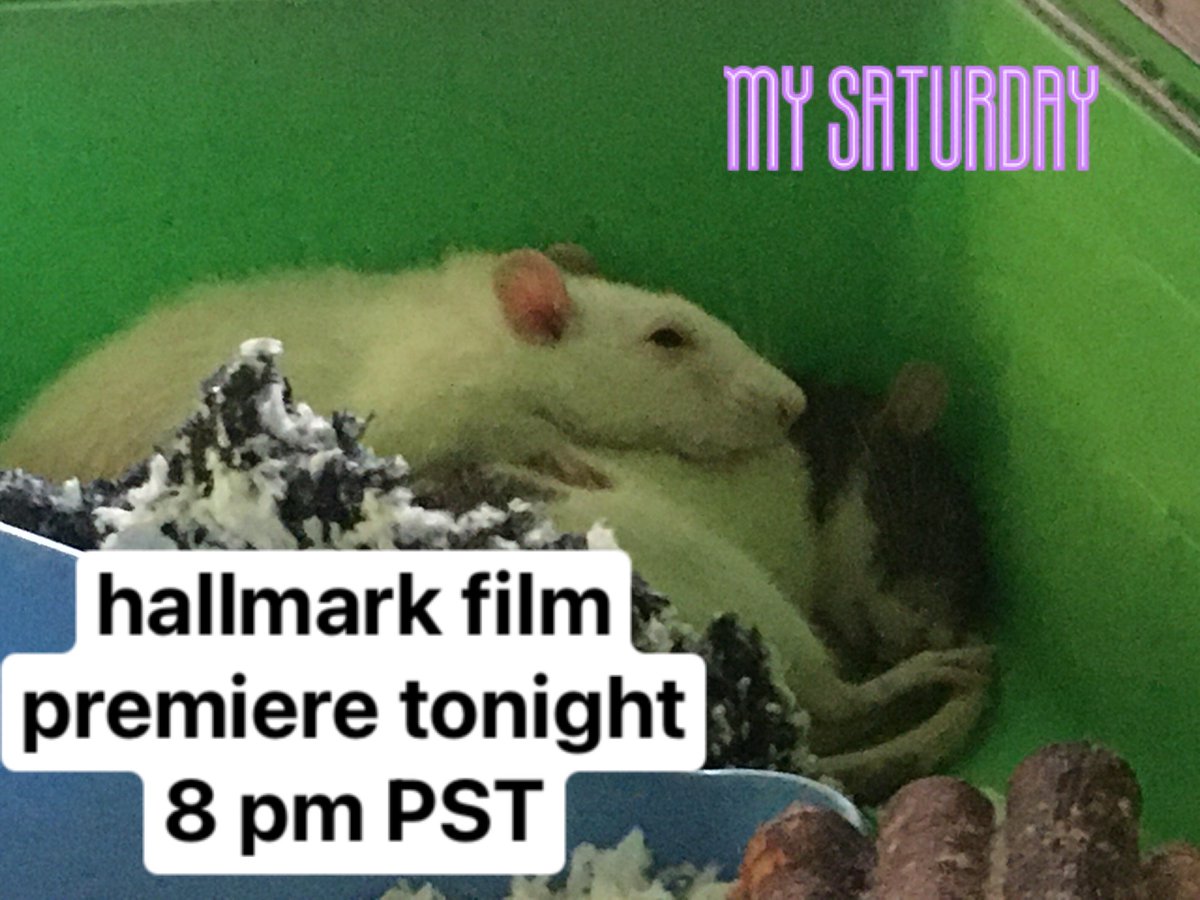 HEY THERES A MOVIE u can watc tonight if you’re up for a light hearted xmas romp X sci fi thriller. live stream on youtube i’ll post the link when it exists we’re at like 53% export omg