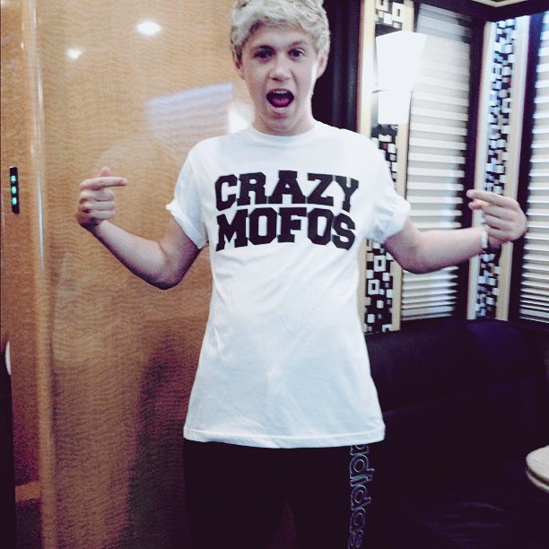 ufcwtble's tweet photo. holaa soy pao, staneo y sigo a niall desde sus principios en one direction, soy de México, niall fetus me pertenece y mi canción favorita es flicker 

cualquier cosa pueden hablarme al dm
#integracionNH https://t.co/PHOxsz6IeL