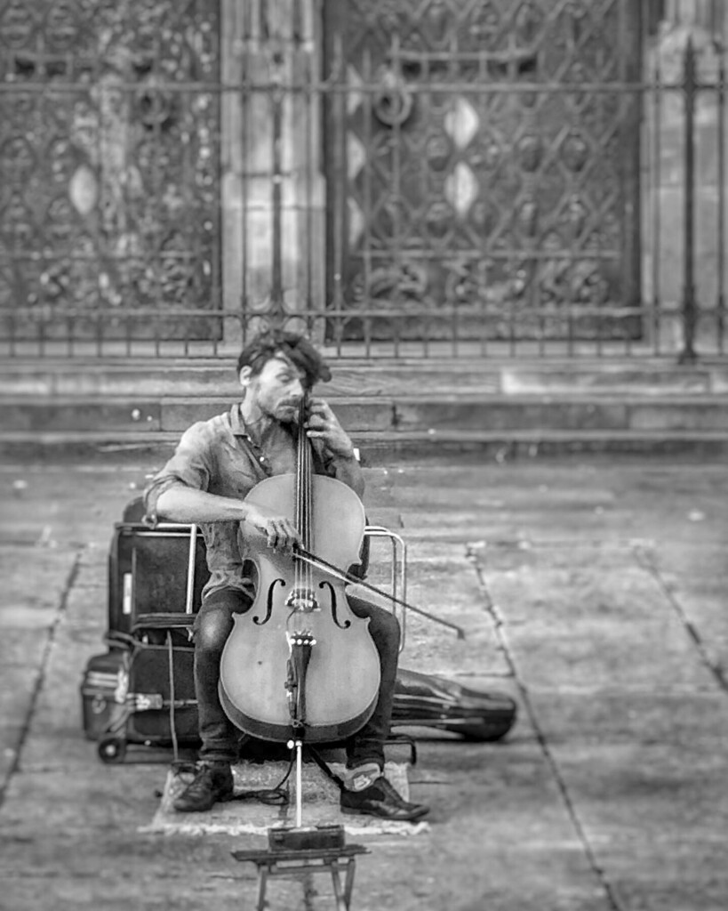 outlandos's tweet photo. Je me joins aux hommages rendus à #bricebauer, artiste et violoncelliste bien connu des visiteurs de la cathédrale et qui l’ont immortalisé aux travers de leurs innombrables clichés • #new #igersfrance #igersstrasbourg #strasgram https://t.co/jA4bgue7bA https://t.co/SnZpY9Ikbr