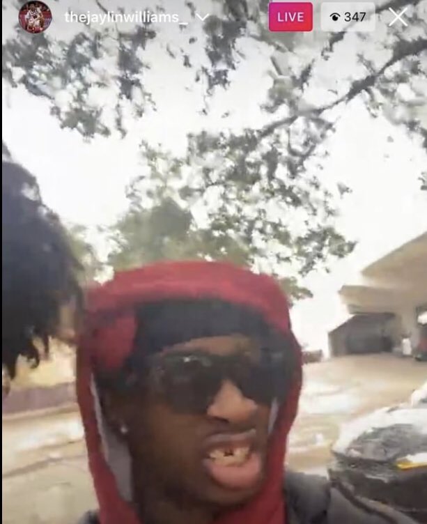 nocontexthogs's tweet image. 